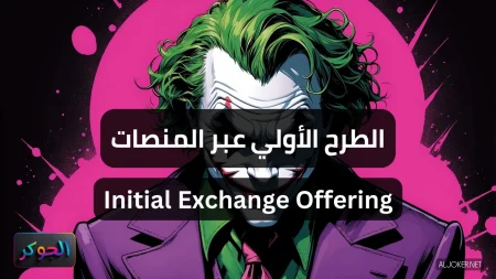 الطرح الأولي عبر المنصات Initial Exchange Offering
