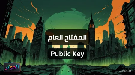 المفتاح العام Public Key