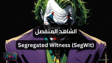 الشاهد المنفصل Segregated Witness (SegWit)